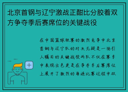 北京首钢与辽宁激战正酣比分胶着双方争夺季后赛席位的关键战役