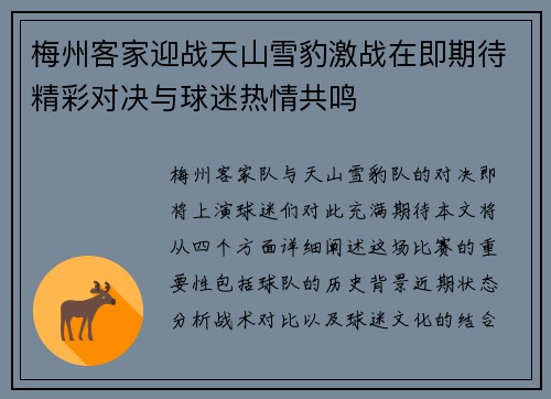 梅州客家迎战天山雪豹激战在即期待精彩对决与球迷热情共鸣